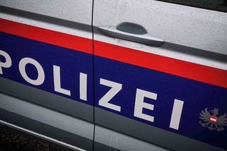 Vyletěl na kole z cesty a narazil do stromu. Český chlapec se v Rakousku těžce zranil - Novinky